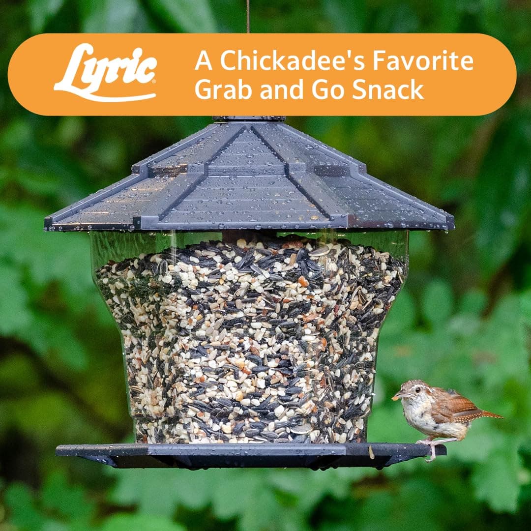 Lyric Chickadee Wild Bird Seed - Sunflower & Nut Premium Wild Bird Seed for Outs - Thumbnail 9