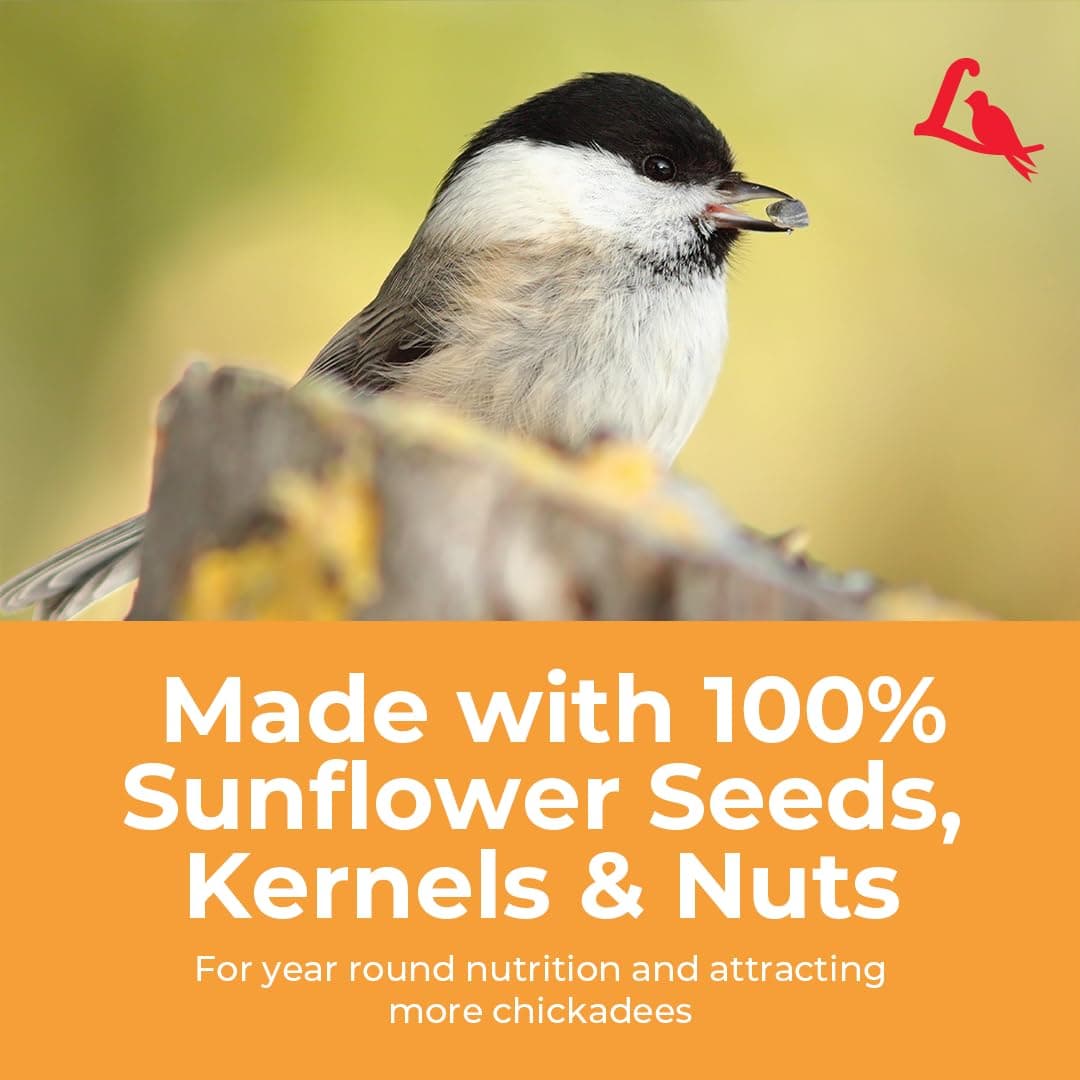 Lyric Chickadee Wild Bird Seed - Sunflower & Nut Premium Wild Bird Seed for Outs - Thumbnail 8