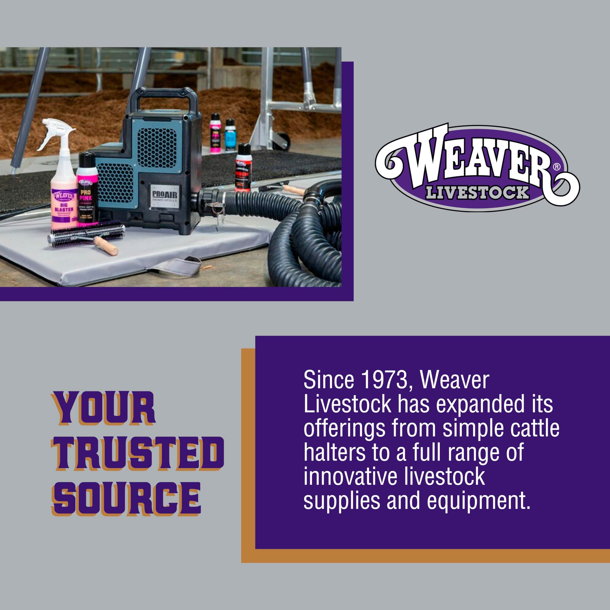 Weaver Livestock Braided Poly Rope Cattle Halter, Adjustable Style Cow Calf Halt - Thumbnail 6