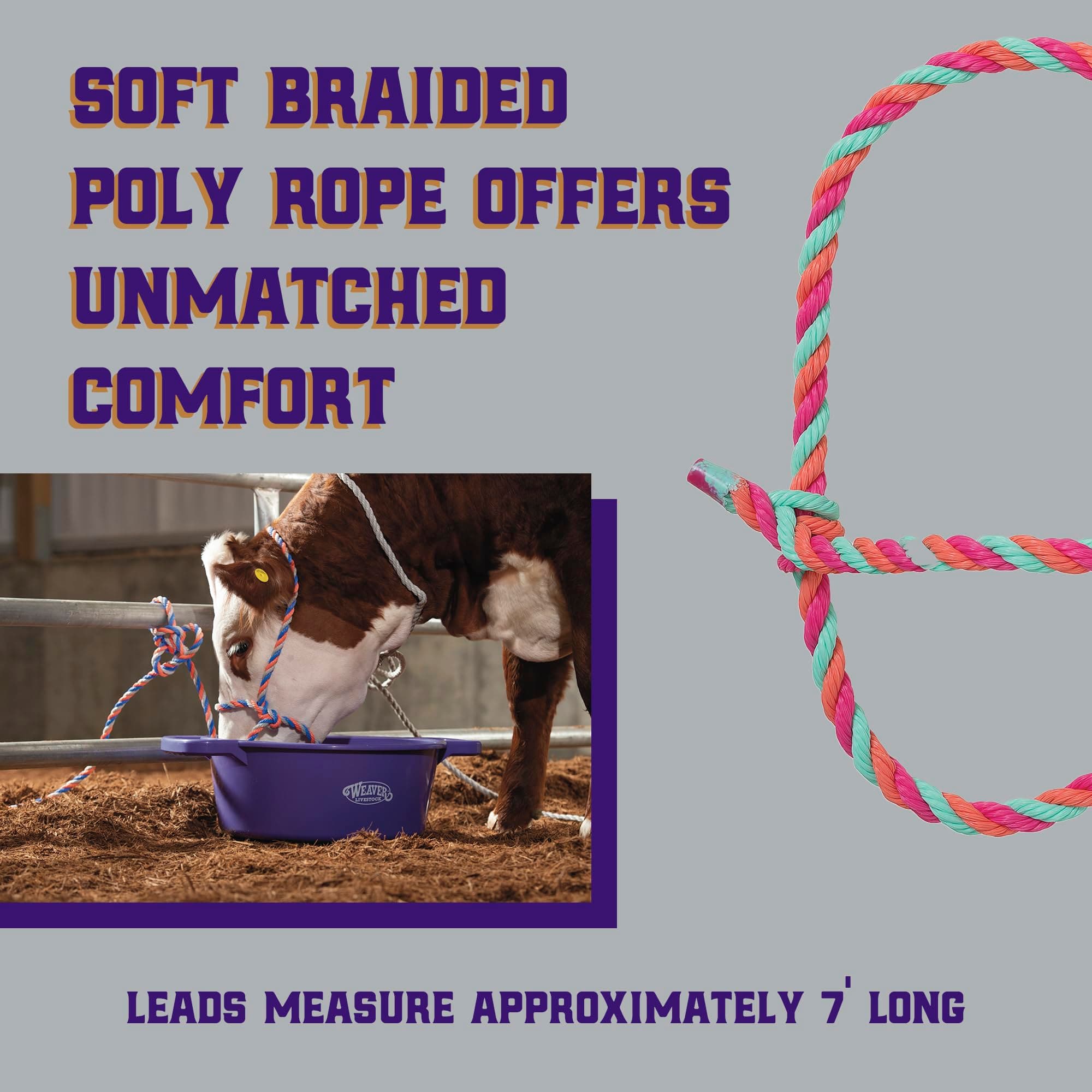 Weaver Livestock Braided Poly Rope Cattle Halter, Adjustable Style Cow Calf Halt - Thumbnail 3