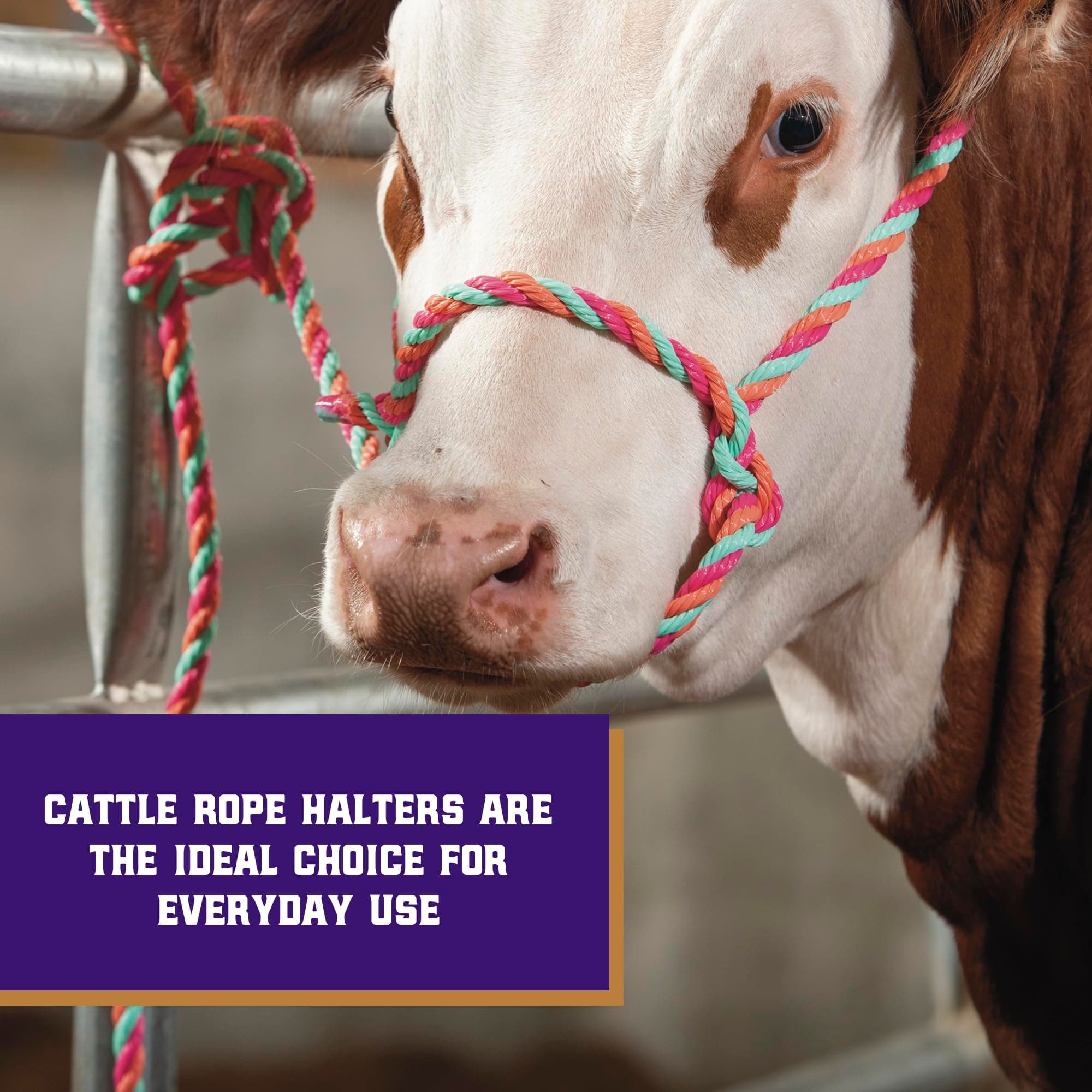 Weaver Livestock Braided Poly Rope Cattle Halter, Adjustable Style Cow Calf Halt - Thumbnail 2