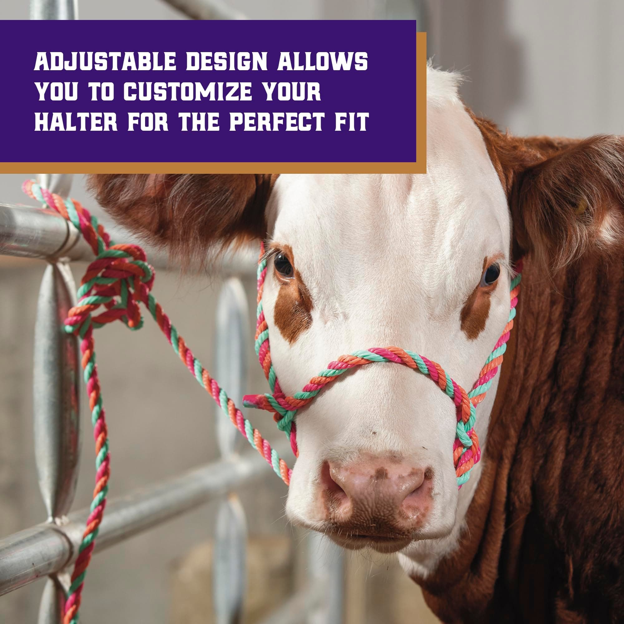 Weaver Livestock Braided Poly Rope Cattle Halter, Adjustable Style Cow Calf Halt - Thumbnail 4
