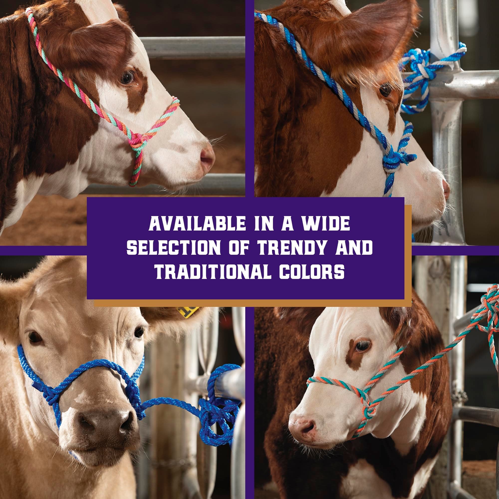 Weaver Livestock Braided Poly Rope Cattle Halter, Adjustable Style Cow Calf Halt - Thumbnail 5