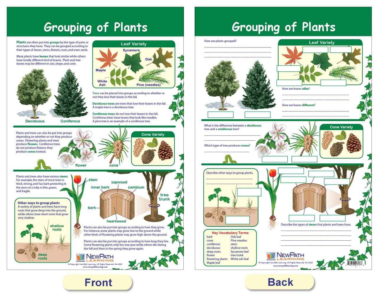 NewPath Learning - 94-3502 The Six Kingdoms Bulletin Board Charts, 12 x 18 Inch, - Thumbnail 4