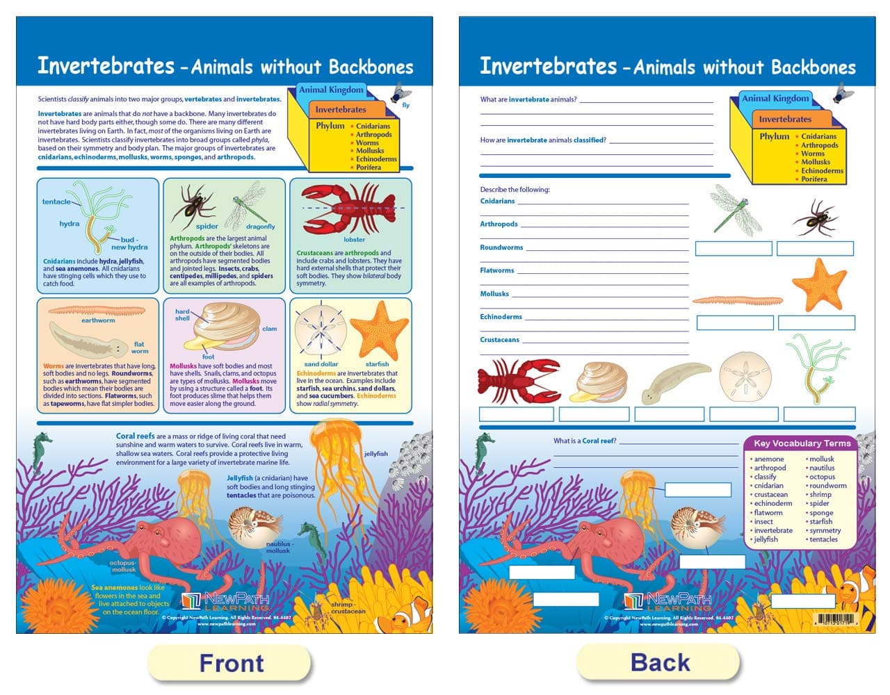 NewPath Learning - 94-3502 The Six Kingdoms Bulletin Board Charts, 12 x 18 Inch, - Thumbnail 5