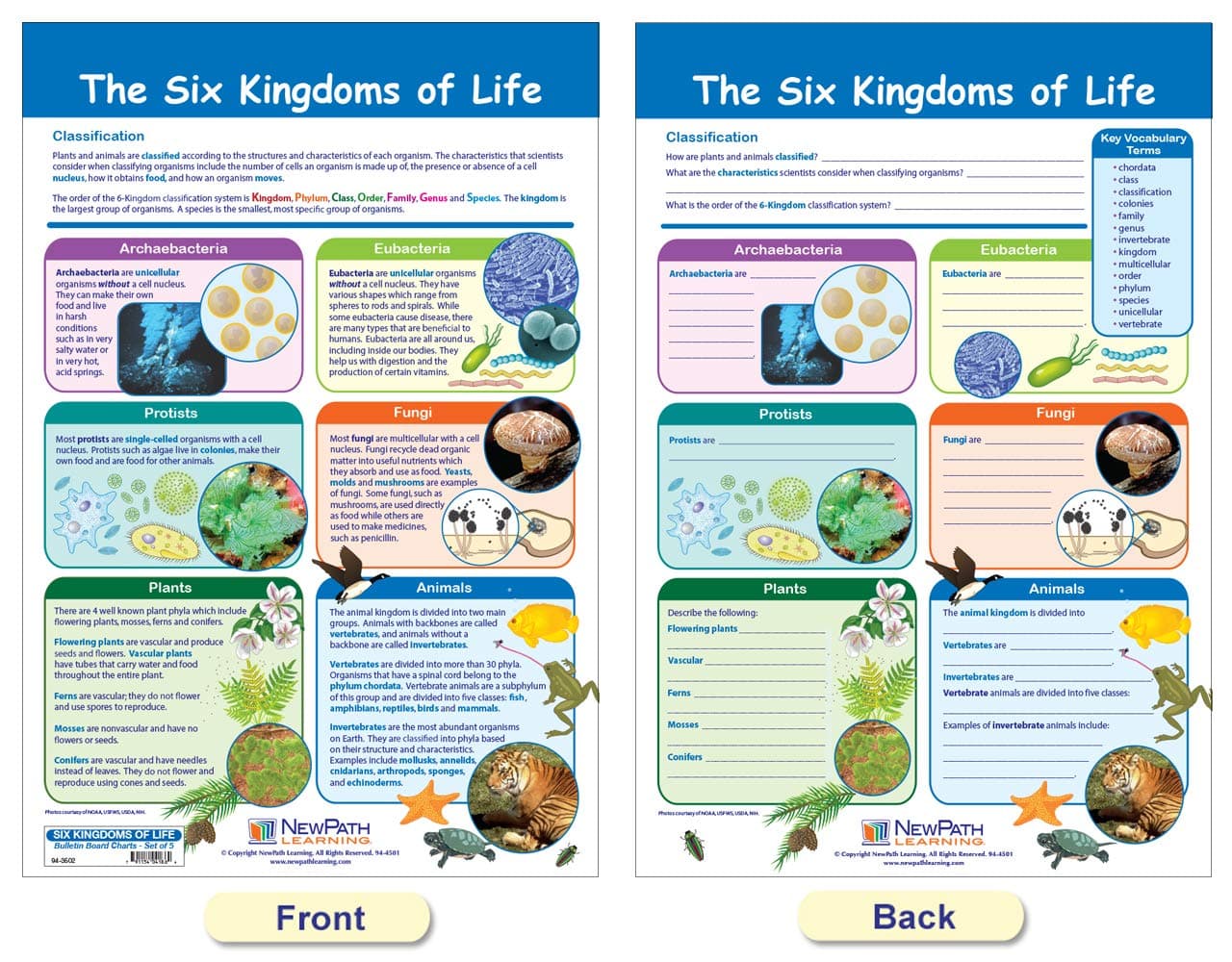 NewPath Learning - 94-3502 The Six Kingdoms Bulletin Board Charts, 12 x 18 Inch, - Thumbnail 2
