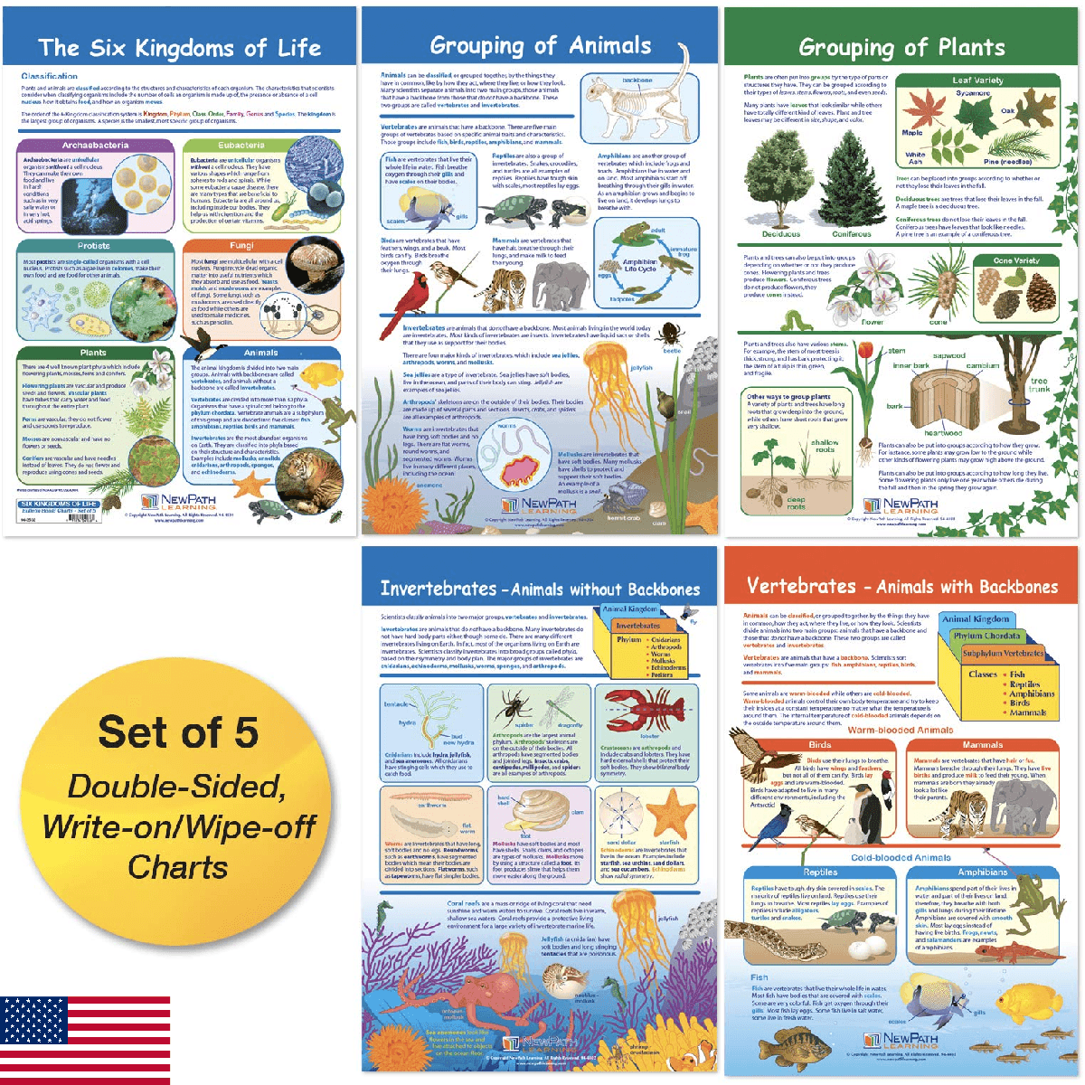 NewPath Learning - 94-3502 The Six Kingdoms Bulletin Board Charts, 12 x 18 Inch, - Image 1