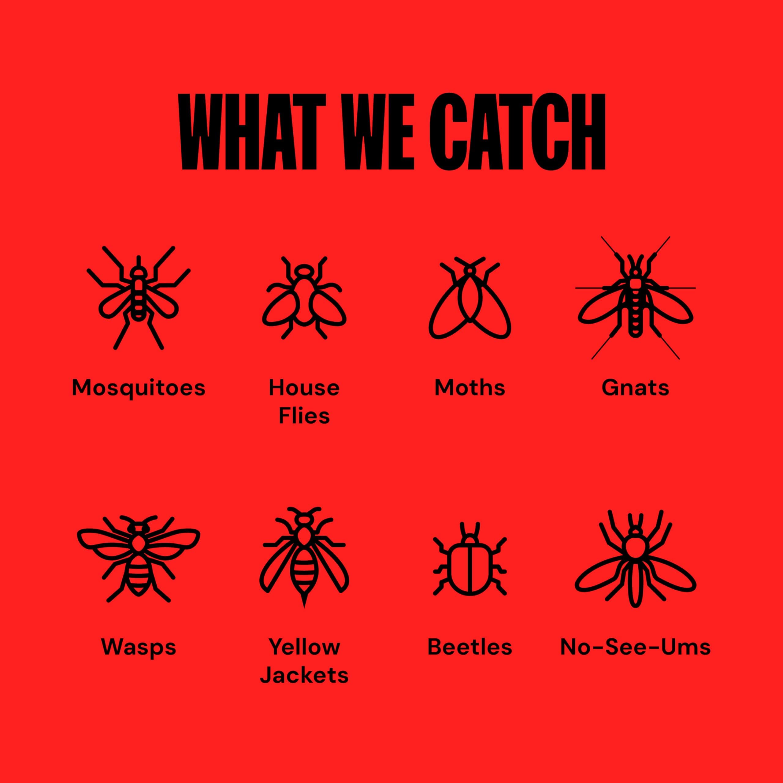 Dynatrap Official Replacement Bulb for LED Mosquito & Insect Trap - 11020 - for - Thumbnail 4