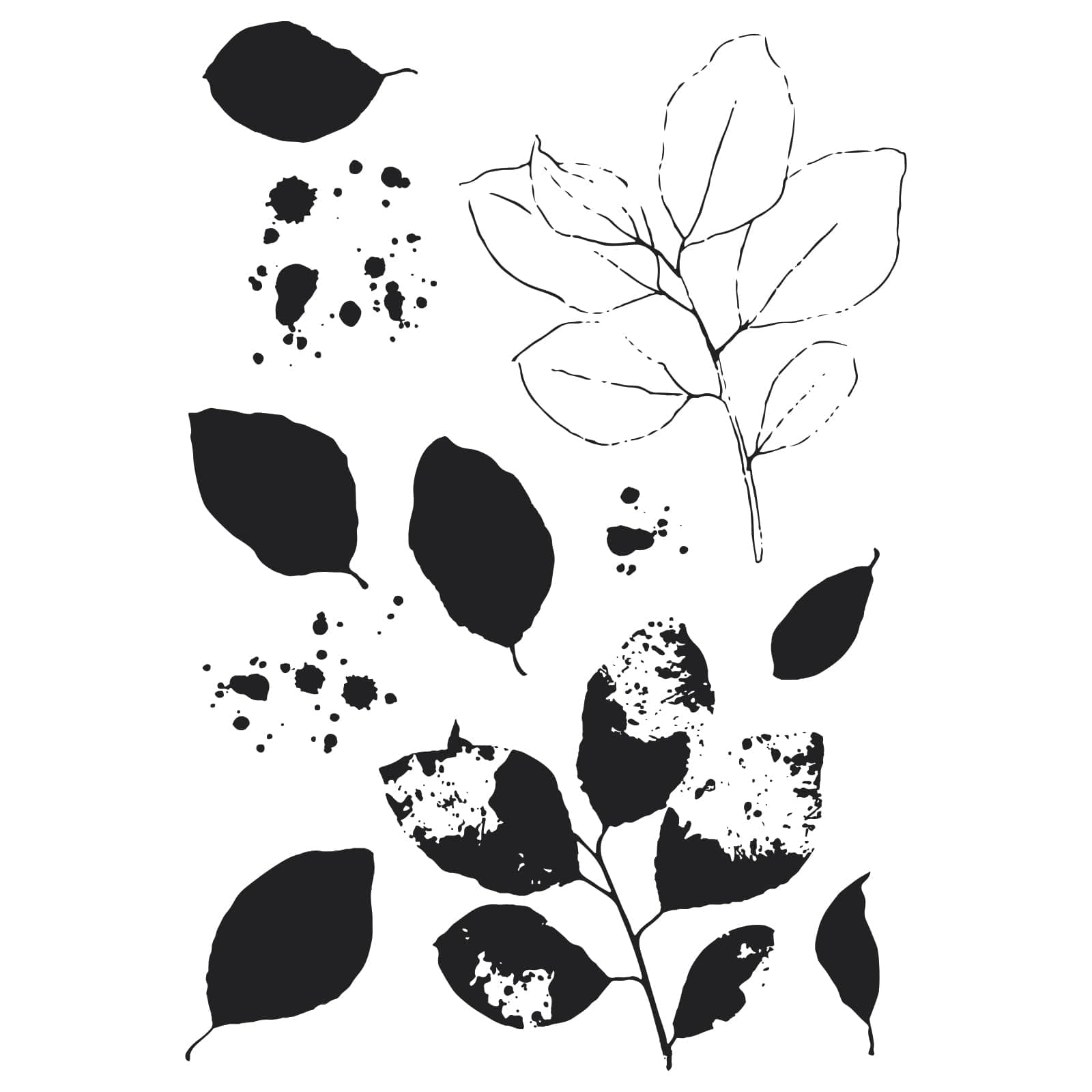 Sizzix A5 Clear Stamps & Framelits Dies - Painted Pencil Leaves by 49 and Market - Thumbnail 3