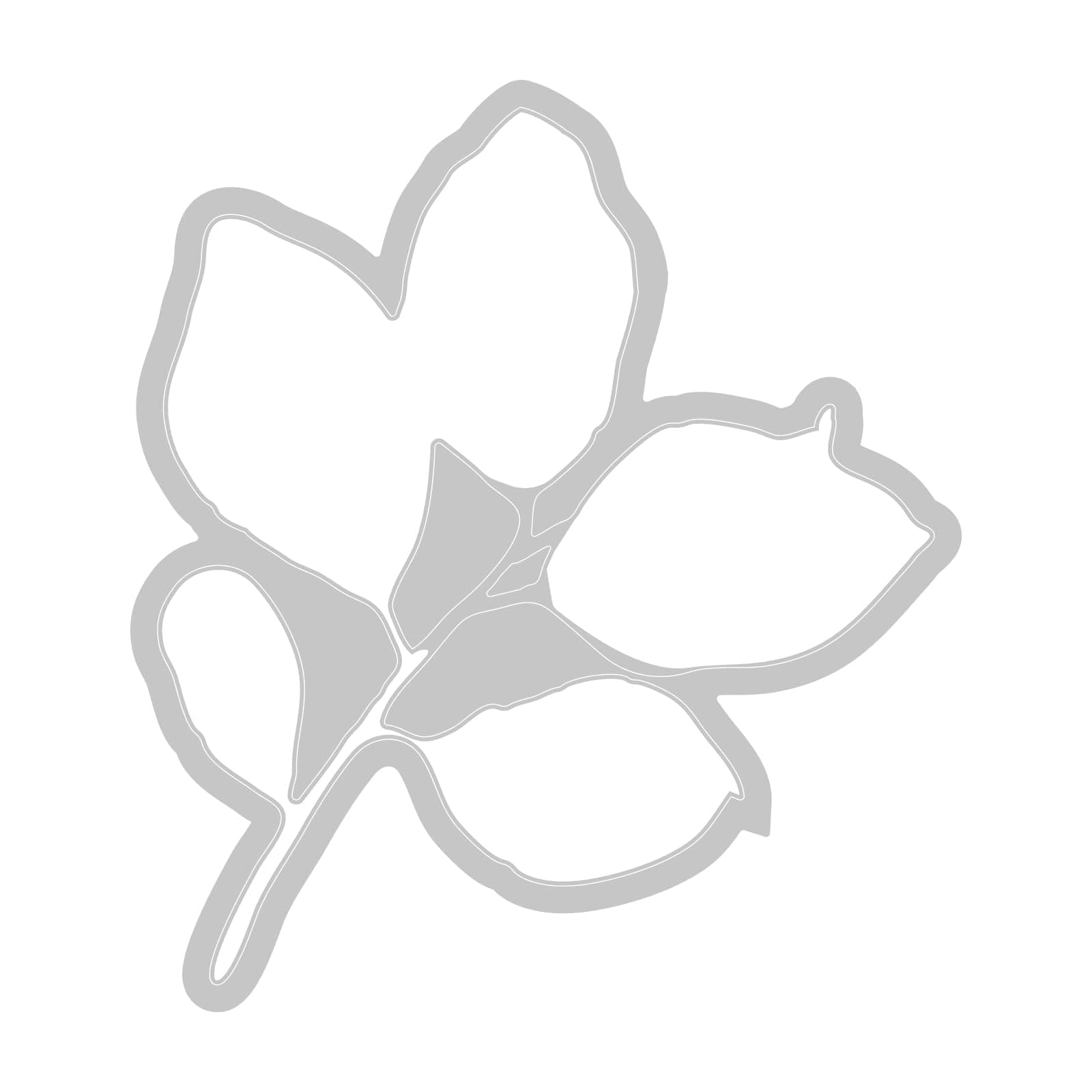 Sizzix A5 Clear Stamps & Framelits Dies - Painted Pencil Leaves by 49 and Market - Thumbnail 2