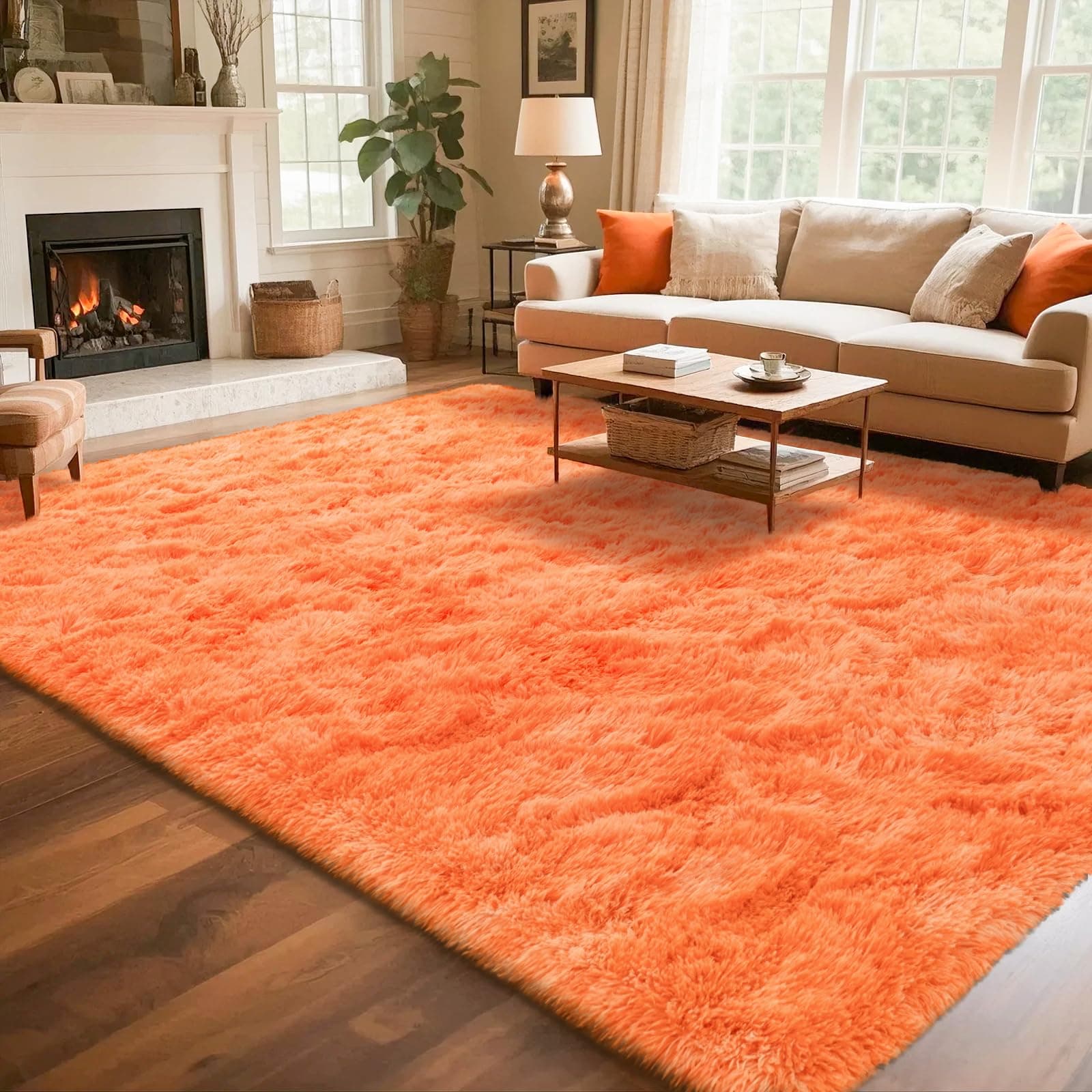 Rtizon Shag Area Rug for Bedroom, Living Room, 5x8 Feet, Fluffy Plush Carpet - Image 1