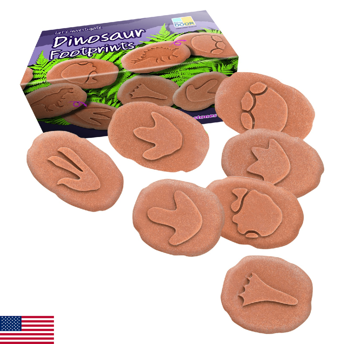 Yellow Door Let's Investigate Dinosaur Footprints - Image 1