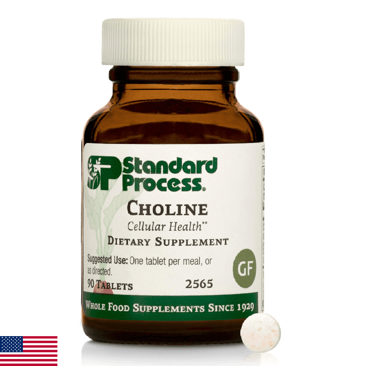 Standard Process Choline - Supports Healthy Fat Metabolism, Liver Health & Nervo - Image 1