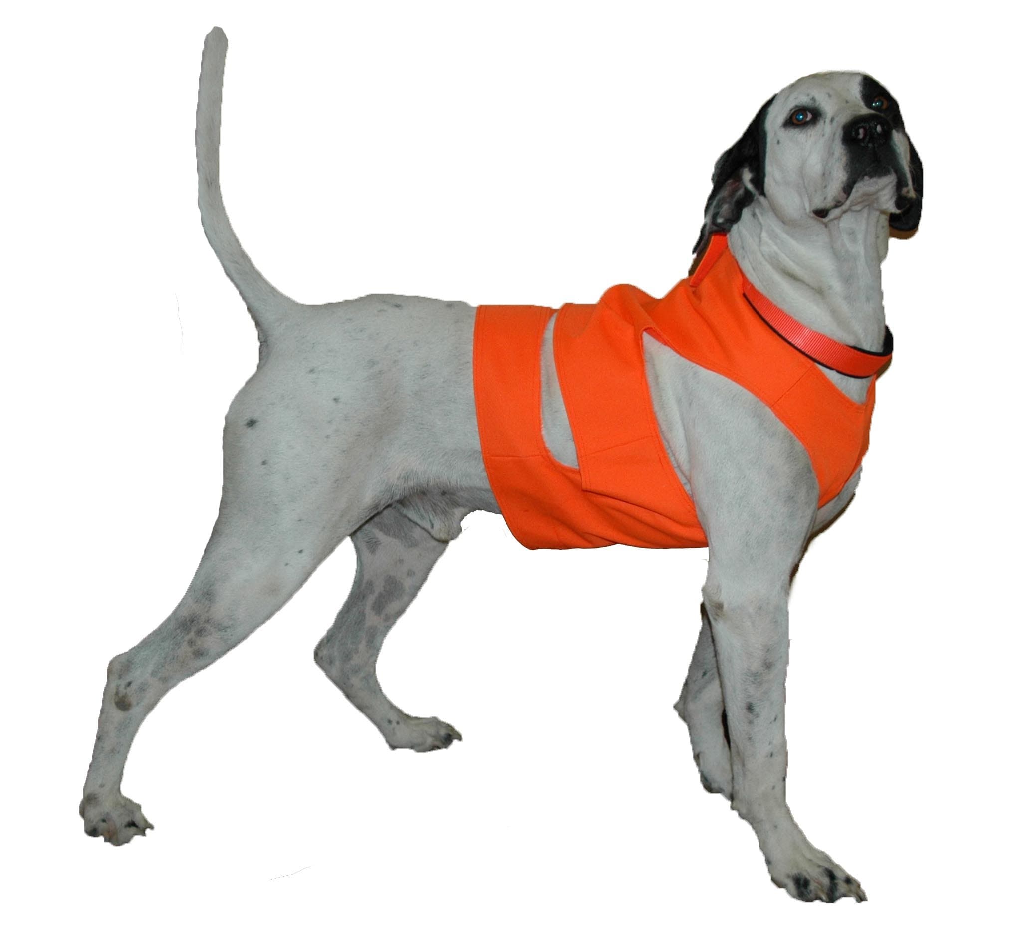 Mud River Dog Chest Protector, Medium, Orange - Protects from Cuts & Scratches - Image 1
