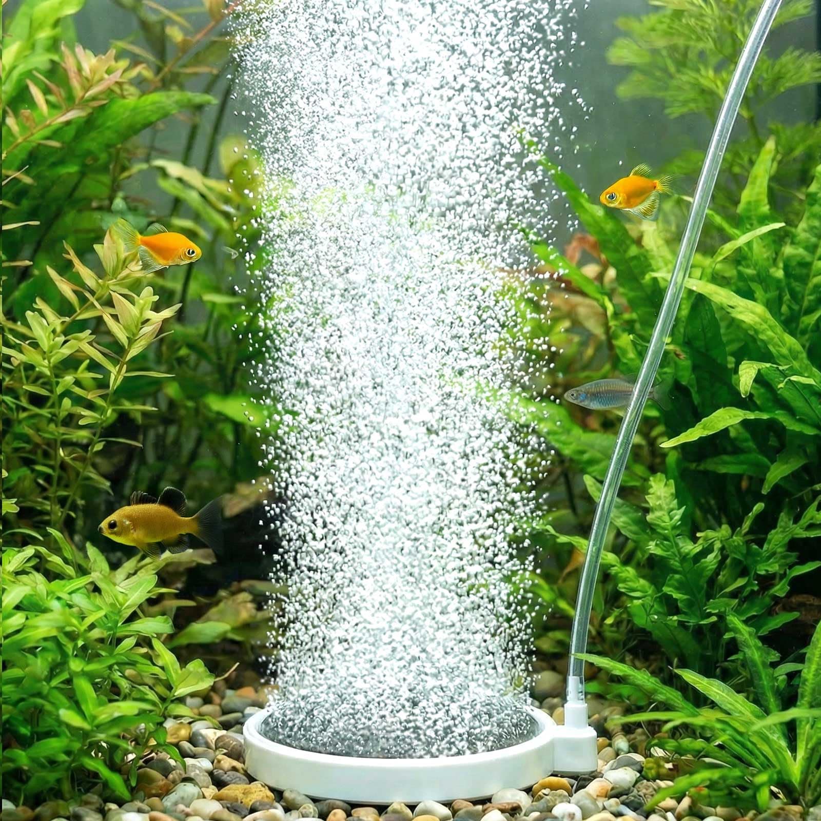 BLOTFISH 4" Nano Aquarium Bubbler Air Stone Fish Tank Quiet Dissolved Oxygen - Image 1