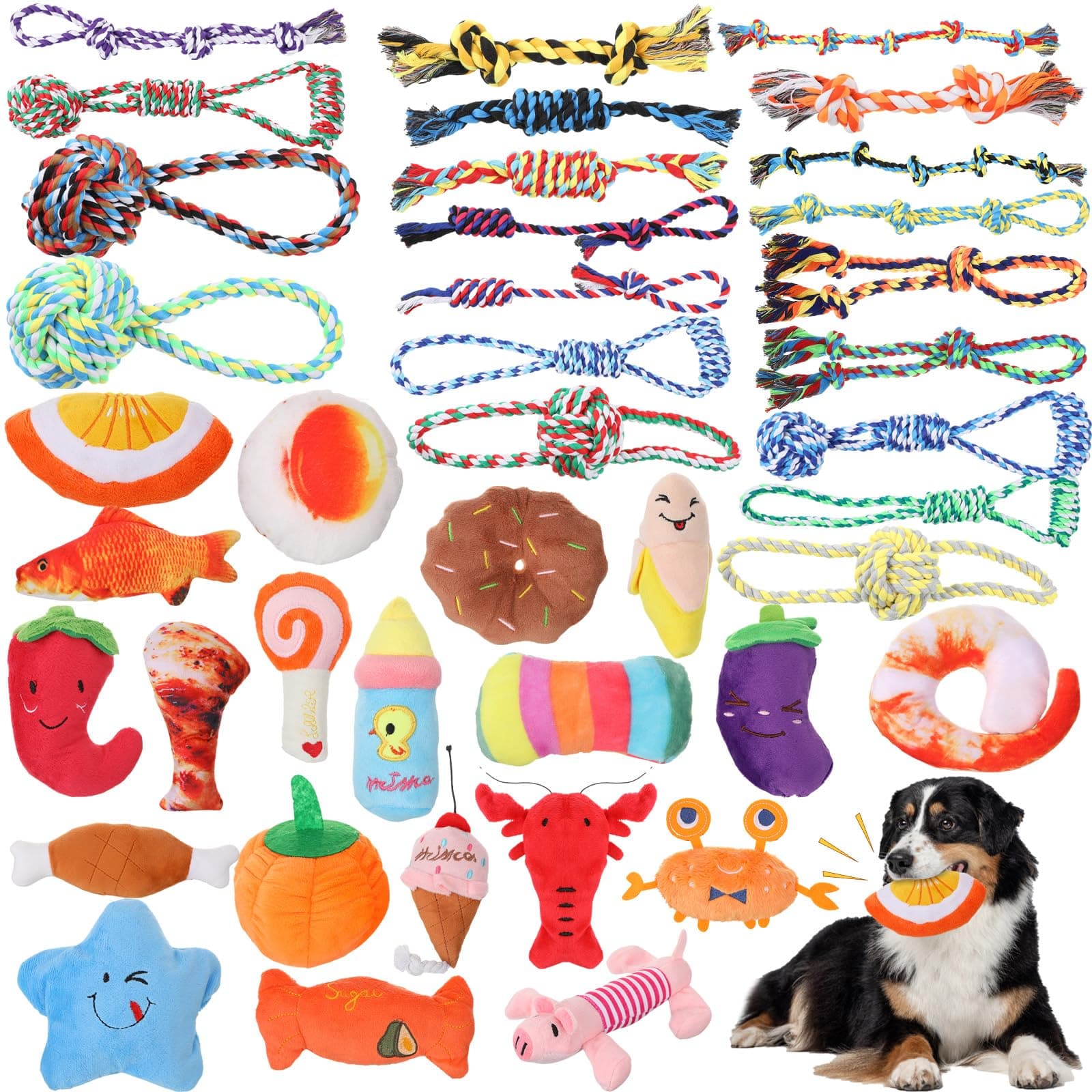 Leyndo 40-Pack Dog Chew Toys for Aggressive Dogs: Plush Squeaky & Rope Toys - Image 1