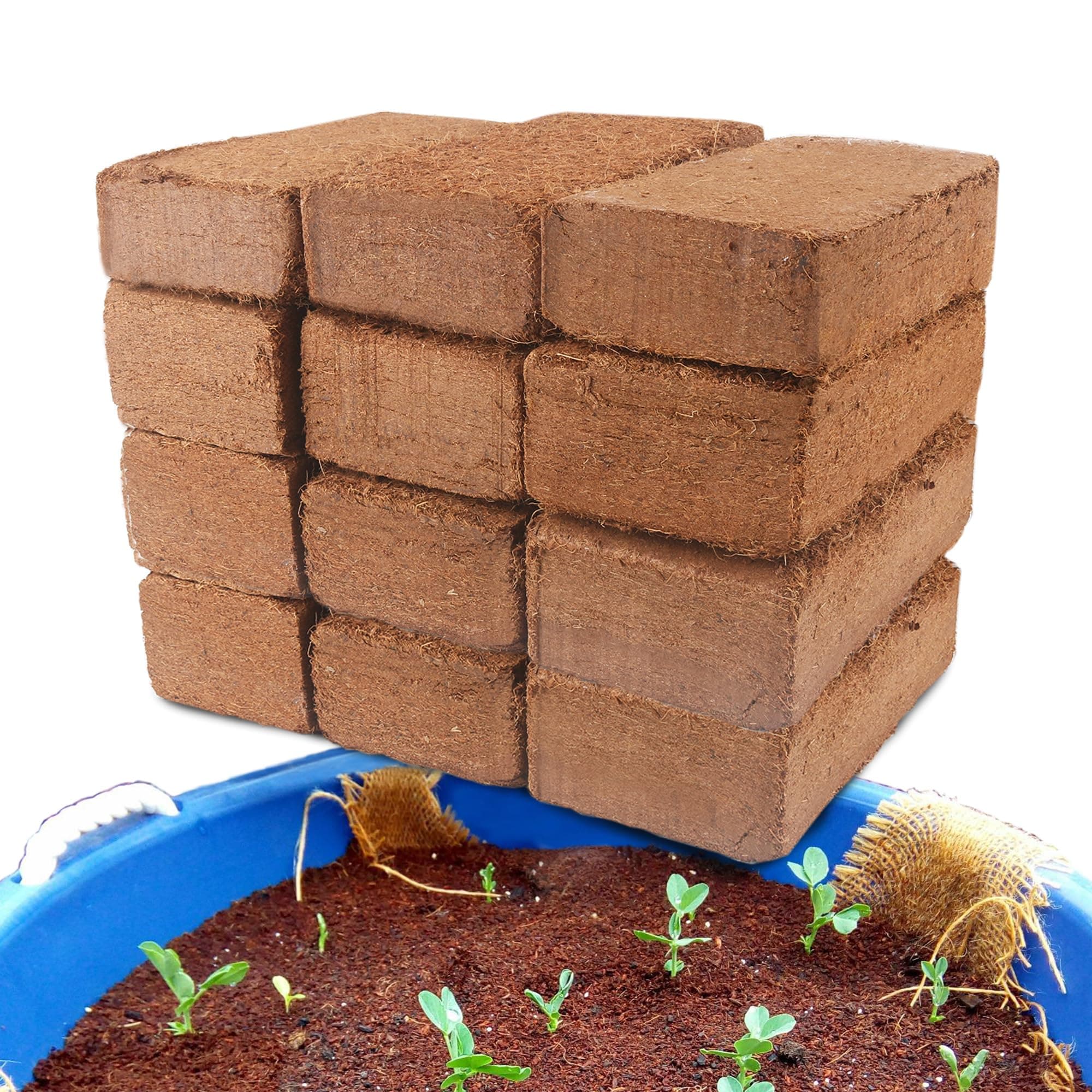 12-Pack Coco Coir Bricks - Organic Coconut Soil for Plants, Seed Starting, Garde - Image 1