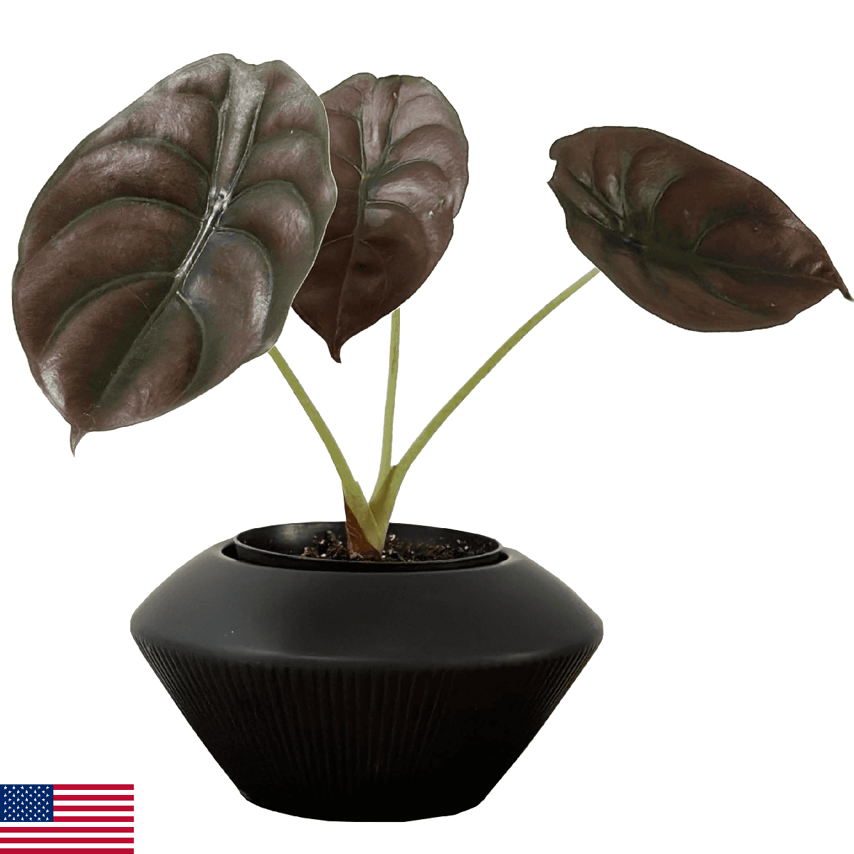 Admired by Nature 7.5" Ceramic Flower Planter Decorative Pot - for Home Decor, S - Image 1