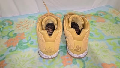 Nike Kyrie 4 Cinnamon Toast Crunch Size 6 Youth Pre-Owned - Thumbnail 3