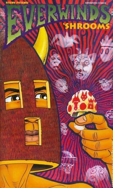 Everwinds #2 - 9.2 Near Mint - Slave Labor Graphics (SLG) - Image 1