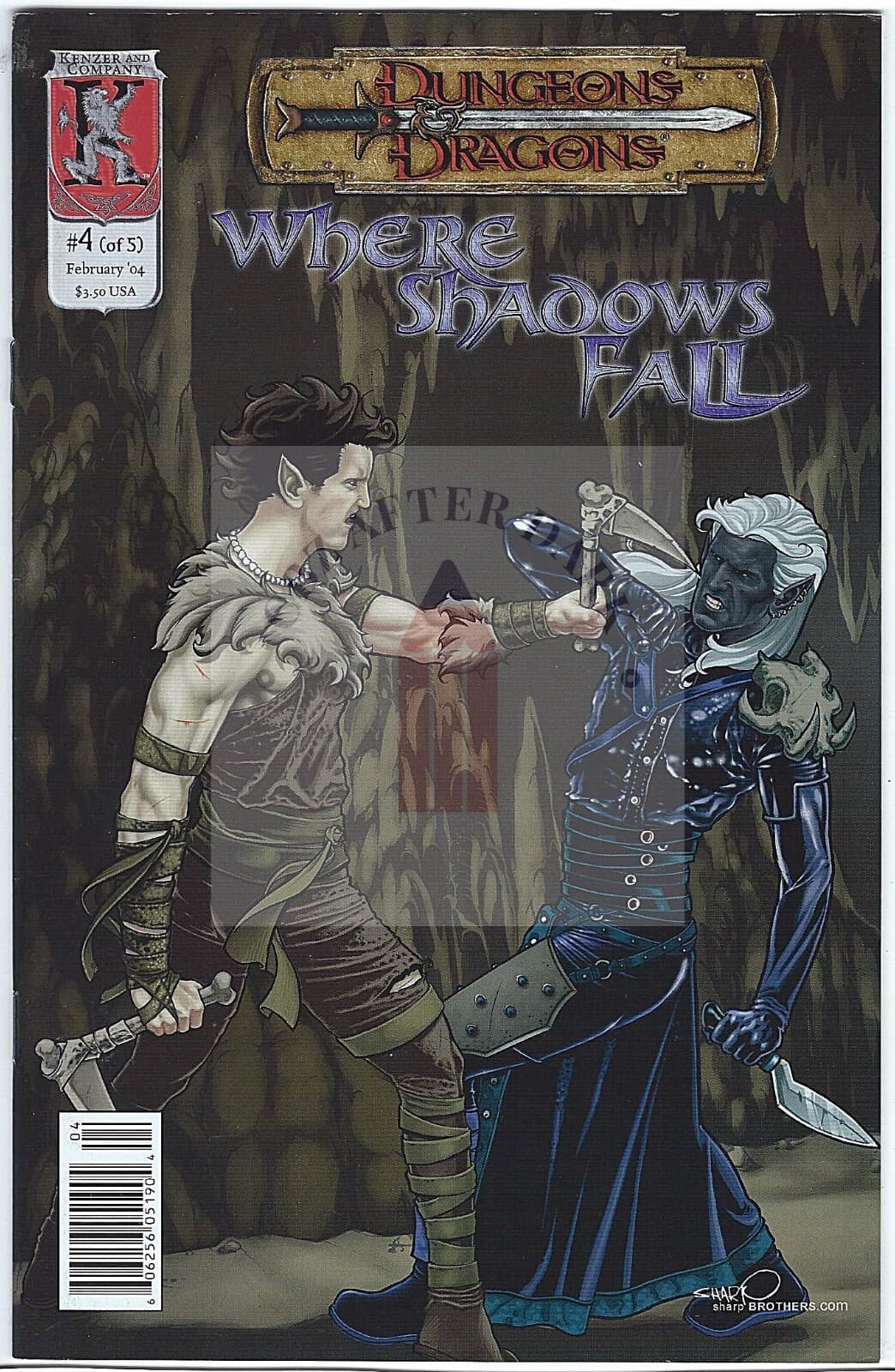 Dungeons and Dragons: Where Shadows Fall #4 - 9.2 Near Mint - 2004 - Image 1