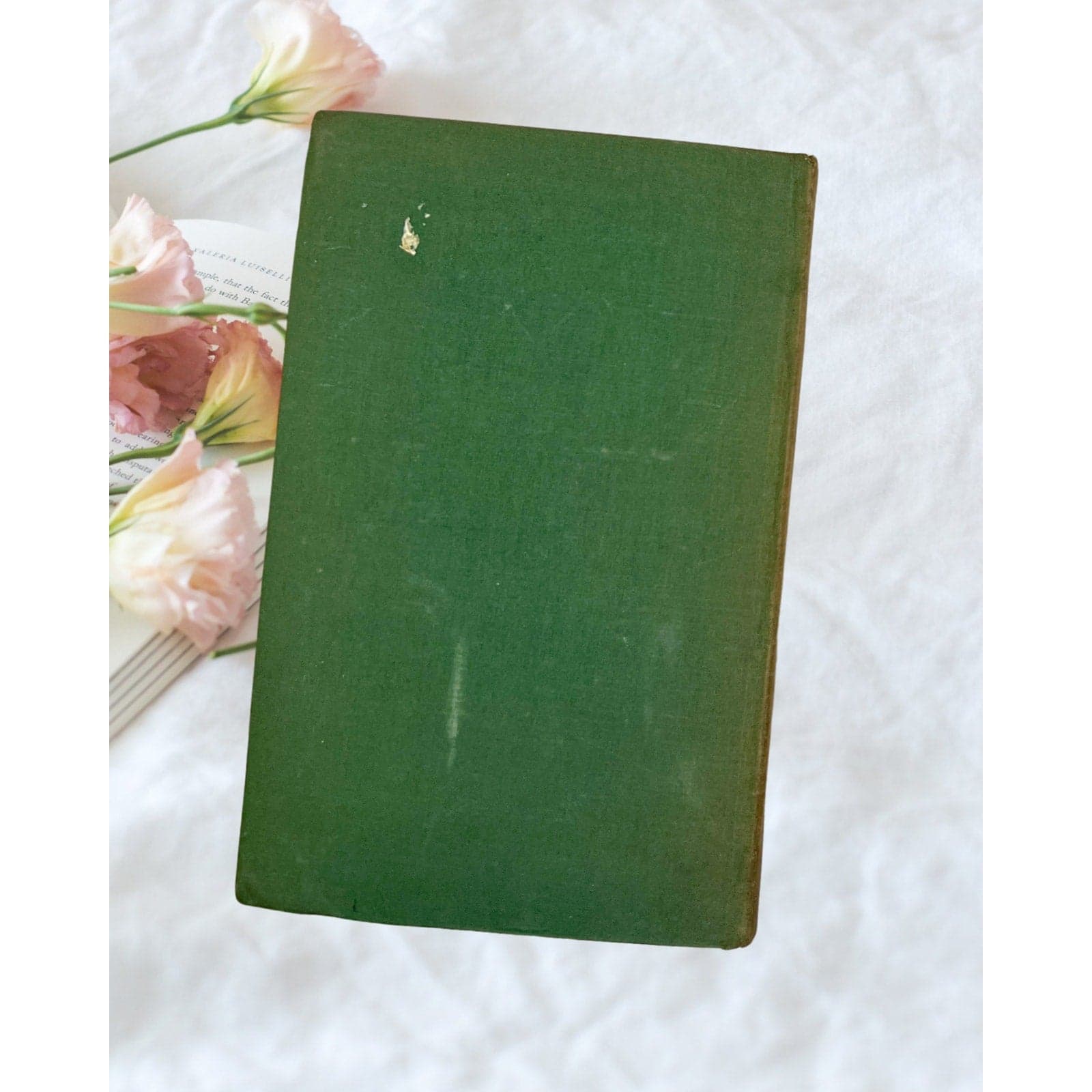 Vintage A Portrait of the Artist as a Young Man James Joyce Modern Library Book - Thumbnail 10