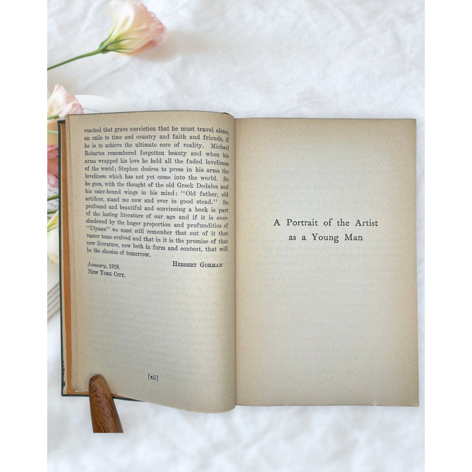 Vintage A Portrait of the Artist as a Young Man James Joyce Modern Library Book - Thumbnail 5