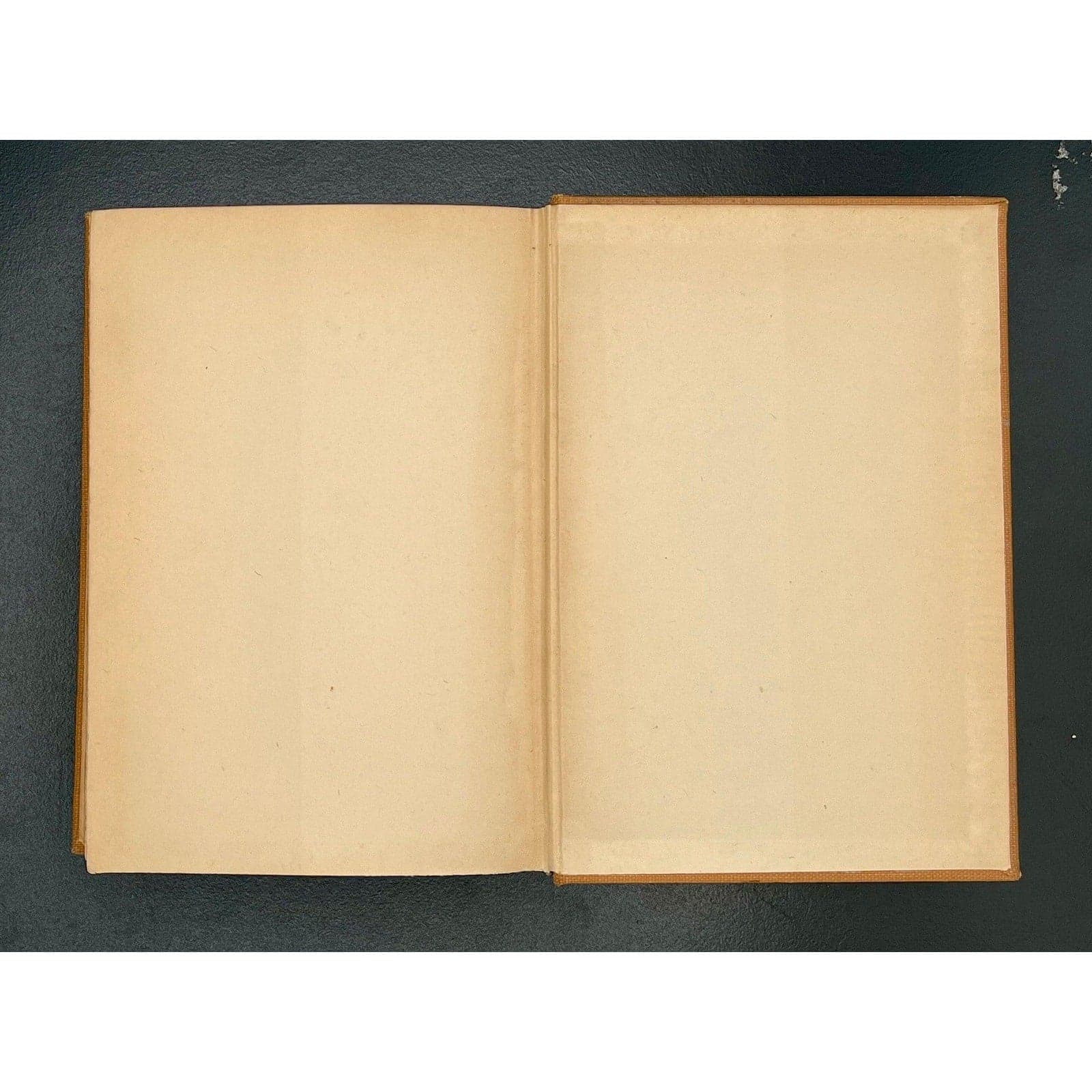 The Enormous Room, E.E. Cummings, 1922 1st Edition, 1st Printing - Thumbnail 5