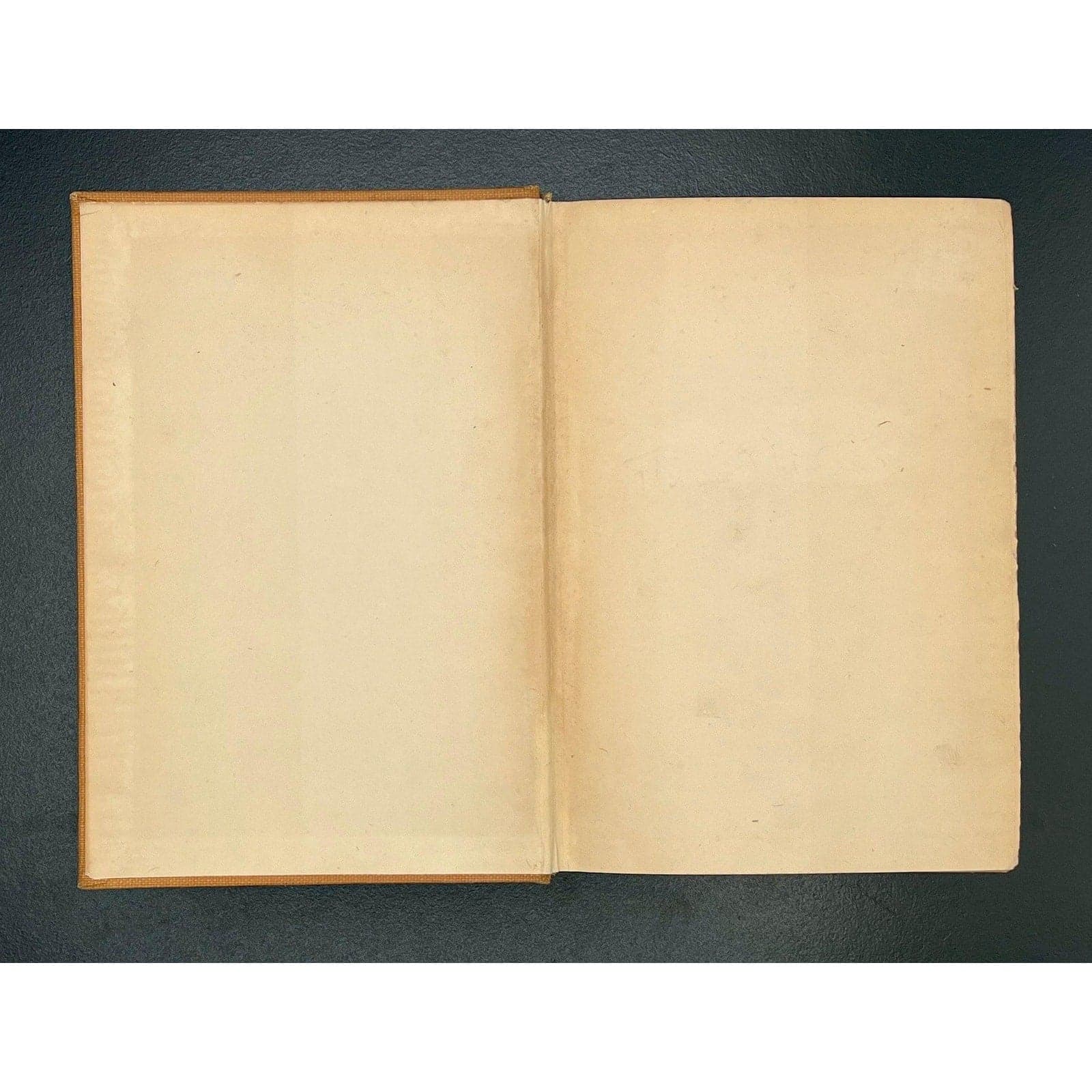 The Enormous Room, E.E. Cummings, 1922 1st Edition, 1st Printing - Thumbnail 7