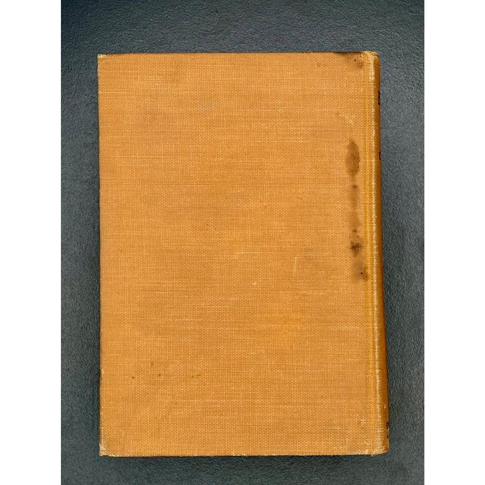 The Enormous Room, E.E. Cummings, 1922 1st Edition, 1st Printing - Thumbnail 6