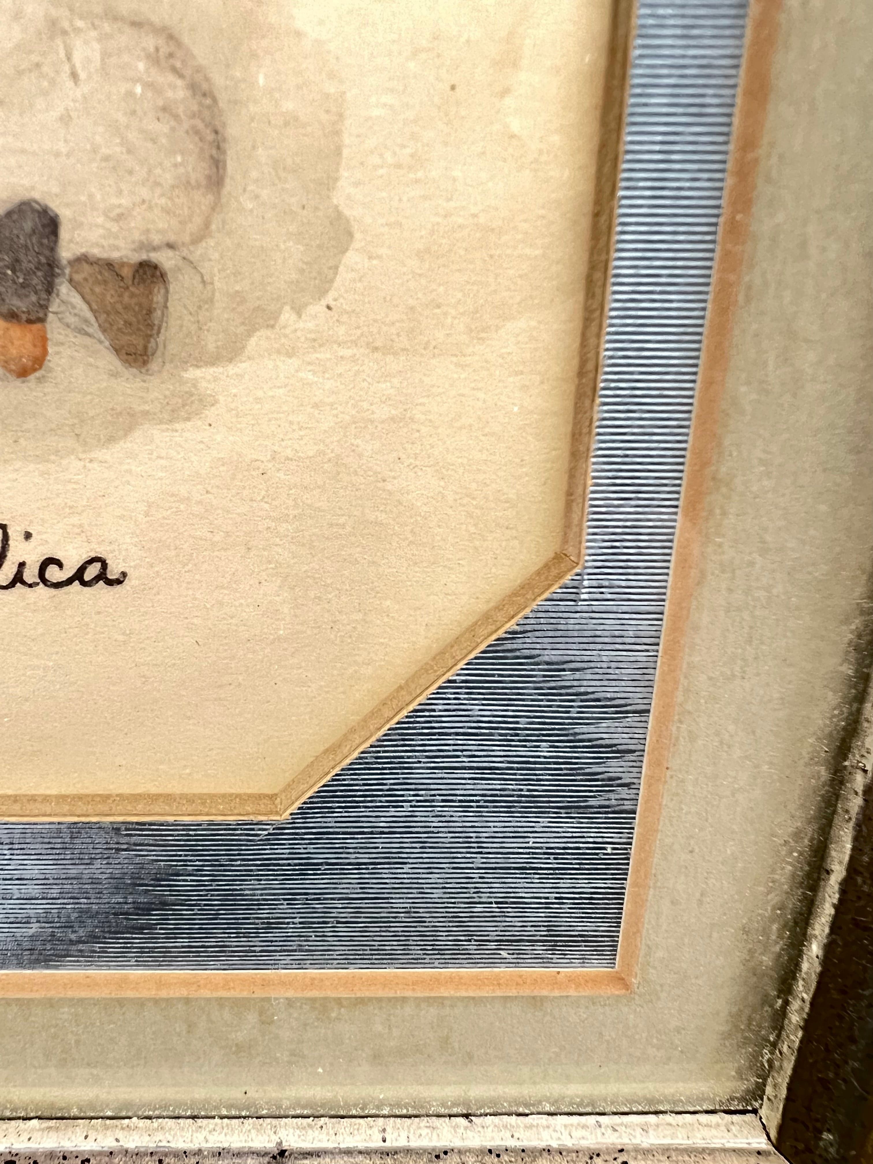 Victorius Inc. "Angelica" Framed Print - Virginia Metalcrafters Colonial Revival - Thumbnail 3