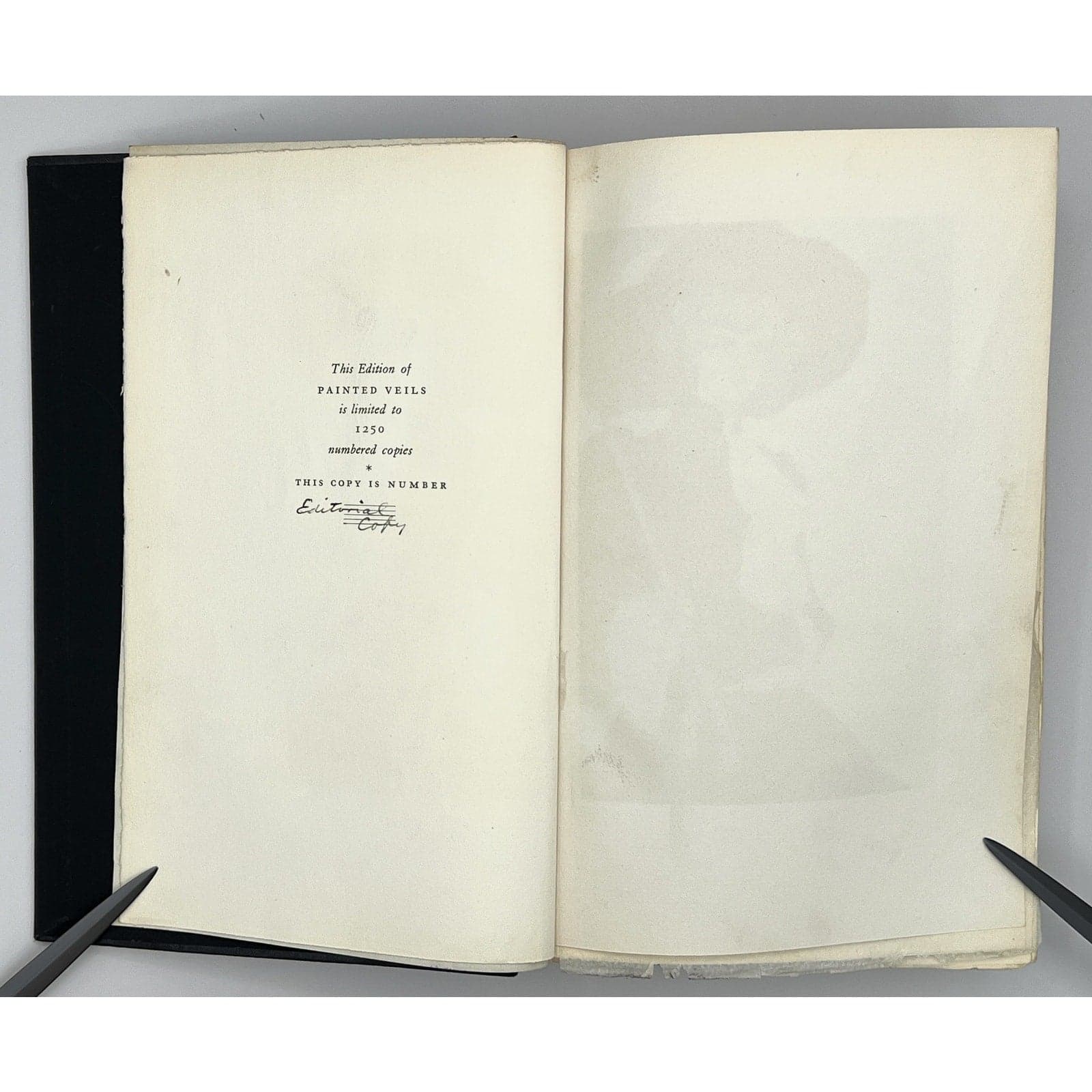 Painted Veils by James Huneker, Rare 1929 Illustrated Editorial Copy - Thumbnail 3