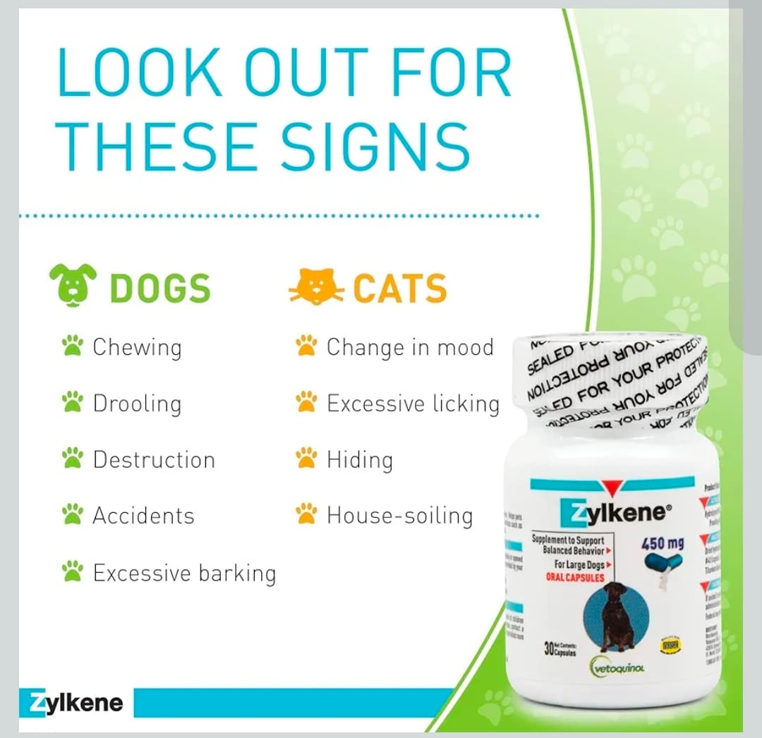 Zylkene 450mg Capsules for Large Dogs 30 Count - Thumbnail 6