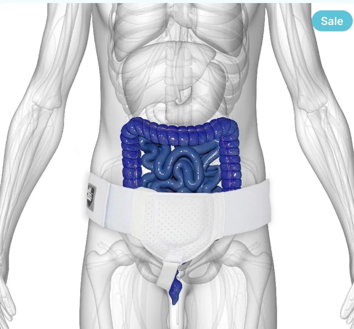 Everyday Medical Orthopedic Hernia Belt Inguinal & Groin Hernia Support Truss S/M Black - Thumbnail 14