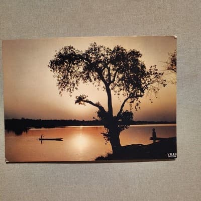 MV0257 senegal sunset pirogue indigens types bird coat of arms stamps - Image 1