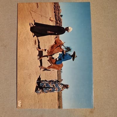 IMN06078 africa ethnics people social history cow traditional clothing - Image 1