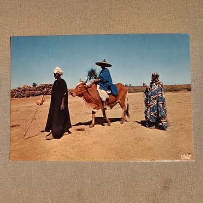 IMN06078 africa ethnics people social history cow traditional clothing - Thumbnail 2