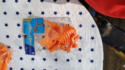 Outdoor Fun Dinosaur Fossil Skeleton Sand Molds Orange & Blue Sandbox Toy Set - Thumbnail 8