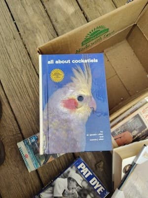 All About Cockatiels, Dr Gerald R Allen, Connie J Allen, 1980, Vintage Reference - Image 1