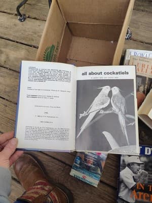 All About Cockatiels, Dr Gerald R Allen, Connie J Allen, 1980, Vintage Reference - Thumbnail 3