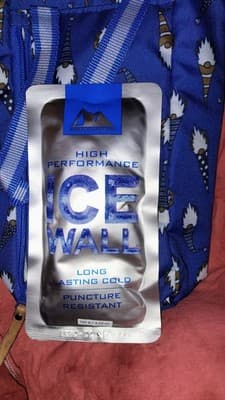 Arctic Zone Insulated Lunch Bag Blue Gnome Print ICE WALLS with Ice Wall Pack - Thumbnail 3