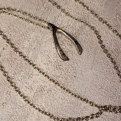 New Dogeared "Wish" Wishbone necklace STERLING Silver - Image 1