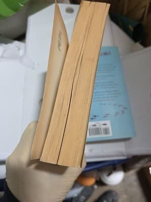 White Oleander Janet Fitch Paperback Book Coming Of Age Bildungsroman - Thumbnail 3