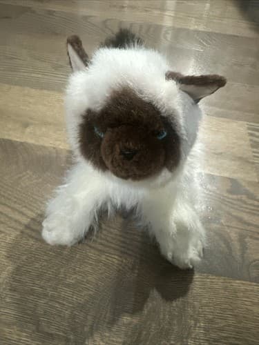 Cat Kitten Plush Siamese Aurora White Brown Stuffed Animal Blue Eyes - Image 1