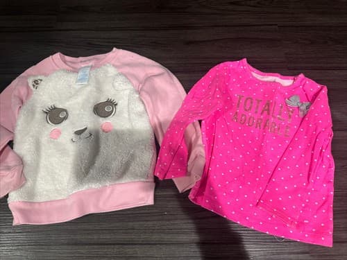 Baby Girl Pullover Sweater Long Sleeve Set of 2 Size 3T - Image 1