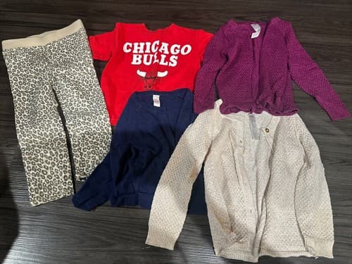 Lot of 5 itmes Toddler Girls Clothes size 2T - Image 1