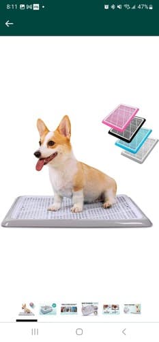 Dog Potty Large Tray Puppy Pee Pad Holder 25X20 Indoor Wee Training Small Dog - Image 1