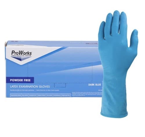 1 Box (100 Count) Proworks Powder Free Nitrile Gloves Size Large - Image 1