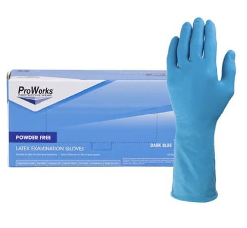1 Box (100 Count) Proworks Powder Free Nitrile Gloves Size Medium - Image 1