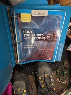 Body Structures and Functions - Binber Form, by Scott Ann; Fong - Very Good - Thumbnail 4